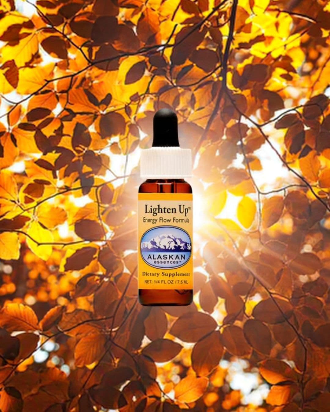 Lighten Up: lichtheid in donkere dagen